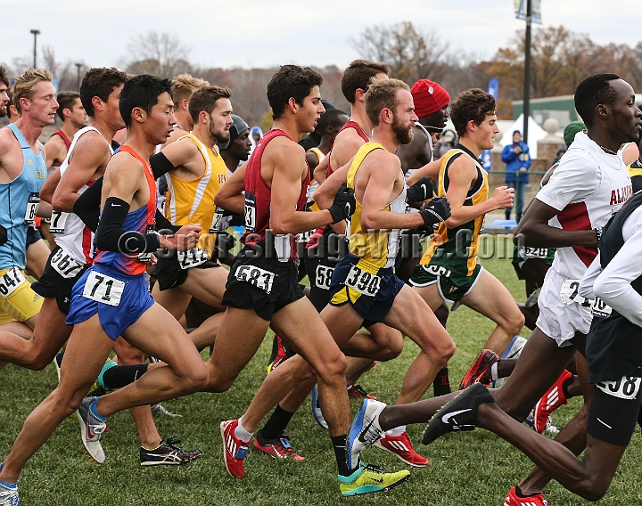 2016NCAAXC-053.JPG - Nov 18, 2016; Terre Haute, IN, USA;  at the LaVern Gibson Championship Cross Country Course for the 2016 NCAA cross country championships.